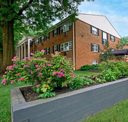 Hamilton apts discount